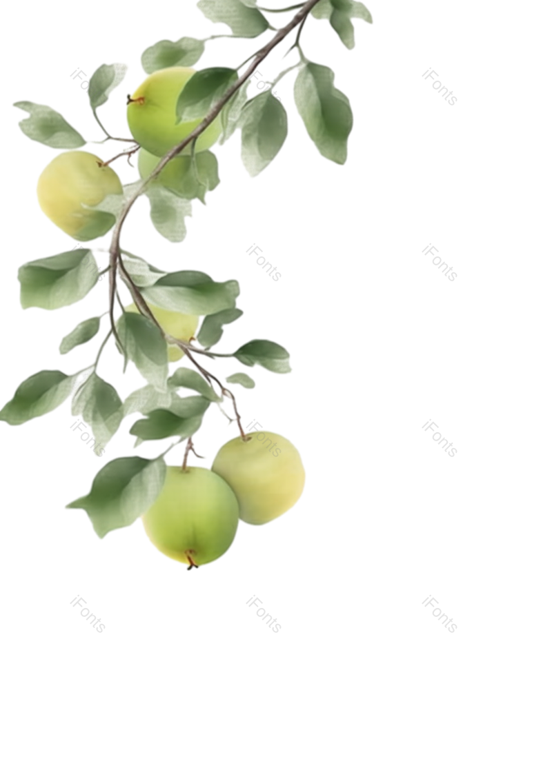 叶子图片,树叶元素,绿色PNG,植物免抠素材